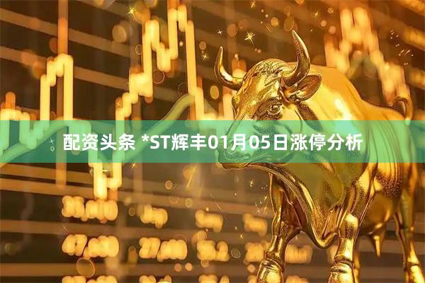 配资头条 *ST辉丰01月05日涨停分析