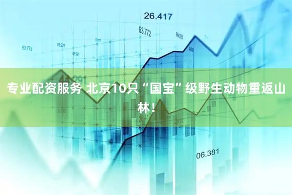 专业配资服务 北京10只“国宝”级野生动物重返山林！